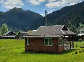 Гражда Лофт для двох в Карпатах