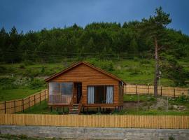 Velevuka - Cottage in Racha，位于安布罗劳里的乡村别墅