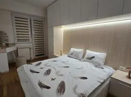 BITI City Apartment