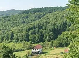Cabana Țibleș