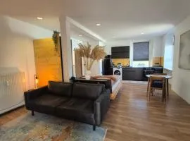 Apartment #1