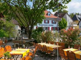 Zur Blume Hotel & Restaurant Efringen-Kirchen bei Basel，位于埃夫林根基兴的酒店