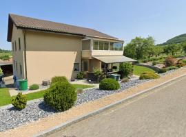 Apartment Hügelruhe Mandach - 100 m2 - 3 Schlafzimmer - Ferien - Business，位于伯特施泰因的酒店