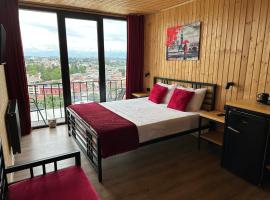 Hotel Eurica，位于库塔伊西的酒店
