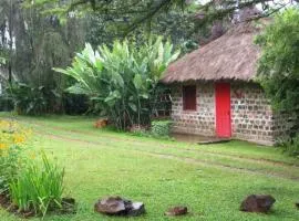 Pink Maraboi Resort