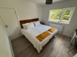 Kane's Place
