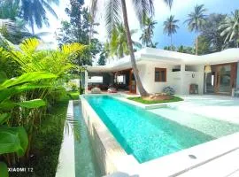 Oasis Road 2