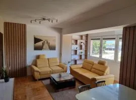 Luxury Apartment