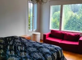 2-3 room apartment & terrace & balcon
