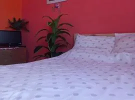 Złota Róża