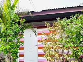 One love Pink house