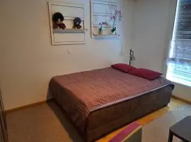 Zimmer möbliert in Uznach
