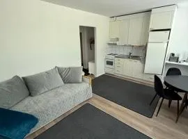 Saimaa Glow Apartment 2