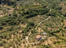 Awesome Home In Smauro Cilento -Sa-