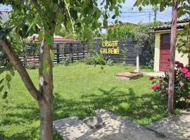 Yellow House