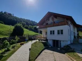 Ferienwohnung Traisen Has