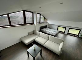 Apartment With a View，位于Králŭv Dvŭr的酒店