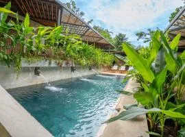 Caribbean Courtyard Lujosa Villa 6 to 10 pp