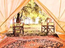 Glamping Grignan 5 personnes vue exceptionnelle