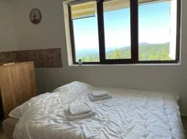 Snow Hill Kopaonik