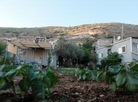 Olive tiny house，位于Tuval的酒店