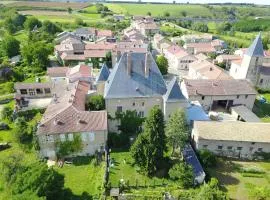 Gîte élégant au Château d'Euvezin avec jardin et parking privatif - FR-1-584-383
