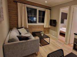 Newly renovated apartment Gautefall，位于Drangedal的酒店