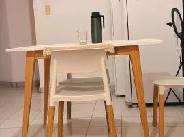 Departamento pleno centro