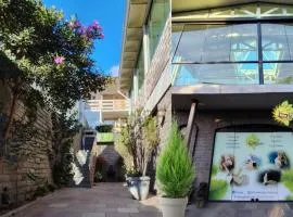 LSViver Hospedagem
