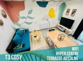 T3 COSY MAISON DE VILLE TERRASSE AU CALME