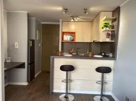 Hermoso departamento en el corazón del Santiago