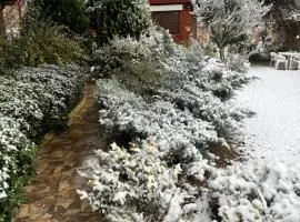 Ashram Asociación Argentina de Yoga
