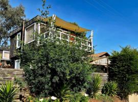 Caba&ntilde;as VistaMar en Lomas de Farr Pelluhue，位于Pelluhue的海滩酒店