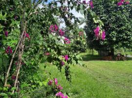 Eco Hotel Mãe De Sagui，位于Castanhal的酒店