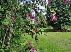 Eco Hotel Mãe De Sagui