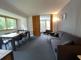 Superbe Appart aux pieds des pistes de ski avec balcon-parking et casier