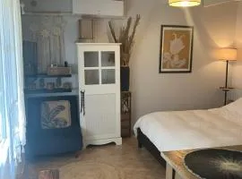 Chambre indépendante au Joli Mazet à Nîmes idéalement situé entre la garrigue et la ville