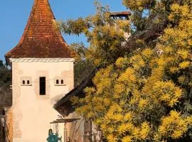 Domaine de la Contie