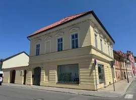 Apartmány U Devíti Lvů