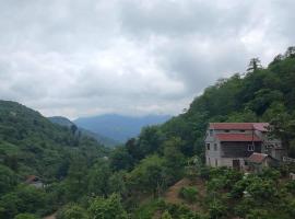 In the Forest，位于K'vemo Jocho的酒店