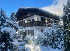 Newly renovated apartment in Verchaix Morillon