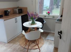 W sosnowym lesie，位于卢布涅维采的酒店