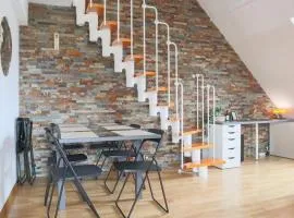 LE DUPLEX BORDERLINE , balade au bord du Rhin