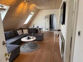 Penthouse apartment in Esbjerg townhouse