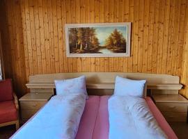 The Saxeten at alps，位于Saxeten的酒店