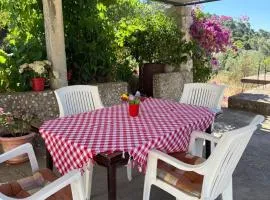 Apartman Desa Babino zlato