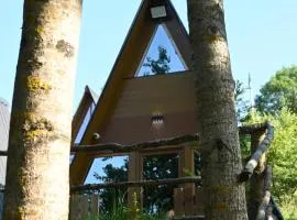 Forest Heaven