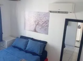 Loft Apartamento Terreo Deck em São José