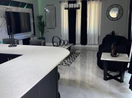Border love apt 2b，位于金斯敦的酒店