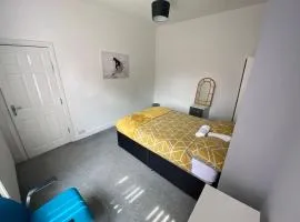 David Guest House